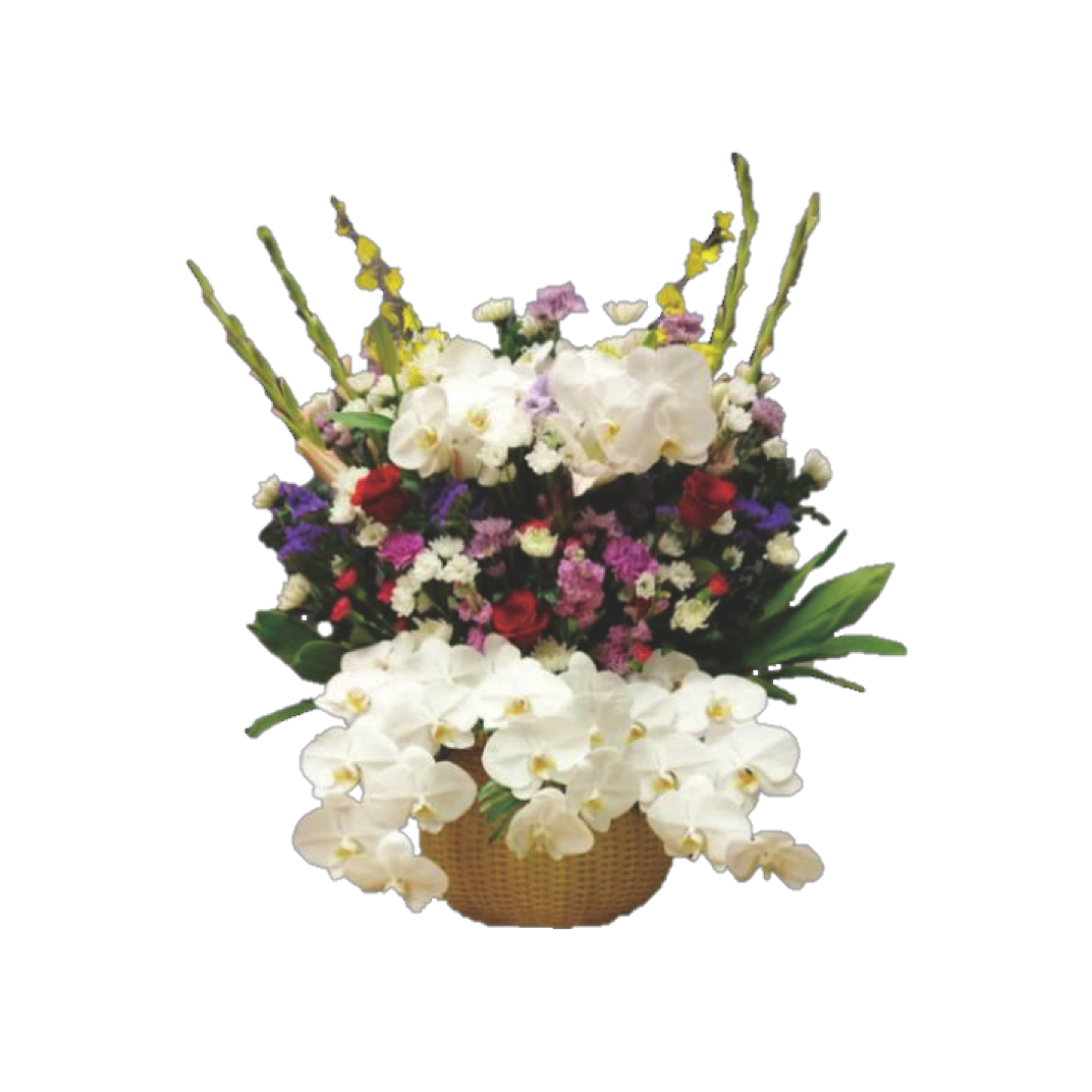 枕花 50【恵那市】